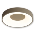 BRILAGI - LED-dimmbare Deckenleuchte FALCON II LED/67W/230V 3000-6500K Ø 40 cm beige + Fernbedienung