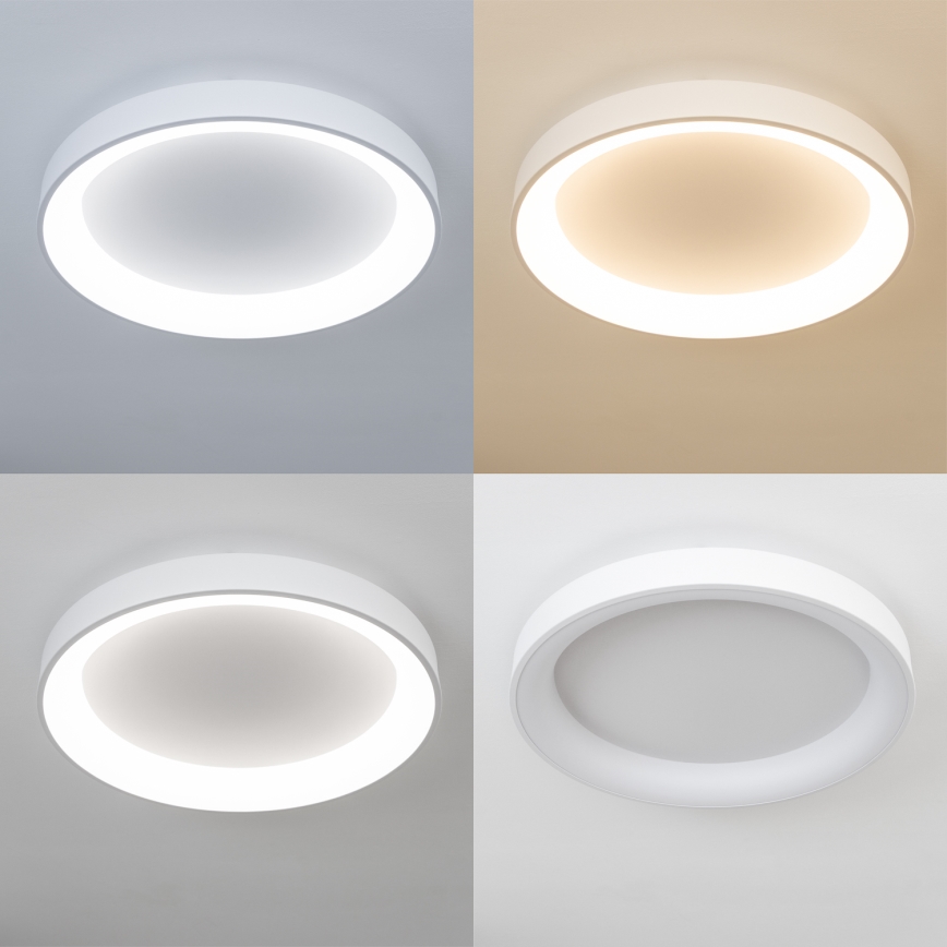 Brilagi - LED-dimmbare Deckenleuchte FALCON II LED/99W/230V 3000-6500K Ø 60 cm weiß + Fernbedienung