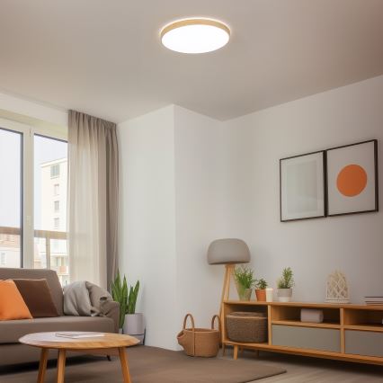 Brilagi - dimmbare LED-Deckenleuchte PINE LED/60W/230V Ø 52 cm 3000-6500K + Fernbedienung