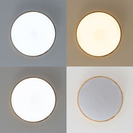 Brilagi - dimmbare LED-Deckenleuchte PINE LED/60W/230V Ø 52 cm 3000-6500K + Fernbedienung