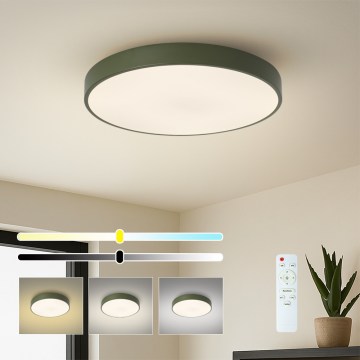 Brilagi - LED-dimmbare Deckenleuchte POOL LED/60W/230V 3000-6000K pr. 50 cm grün + Fernbedienung