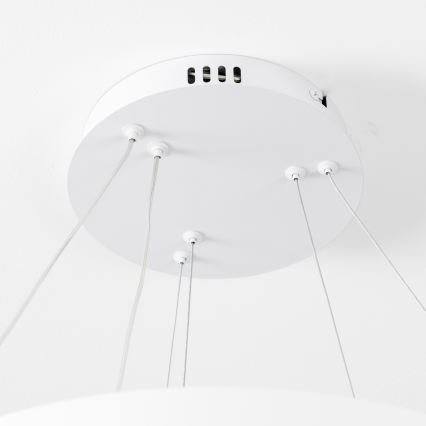 Brilagi - LED-dimmbare Pendelleuchte an Seil FALCON SLIM LED/68W/230V 3000-6500K Ø 50 cm weiß + Fernbedienung