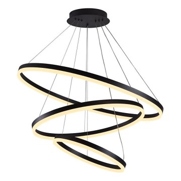 Brilagi - LED-dimmbare Hängeleuchte mit Kabelabhängung CIRCLE LED/125W/230V 3000-6500K Ø 80 cm schwarz + Fernbedienung