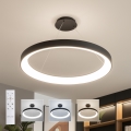 Brilagi - LED-dimmbare Hängeleuchte mit Seilabhängung FALCON II LED/108W/230V 3000-6500K Ø 80 cm schwarz + Fernbedienung