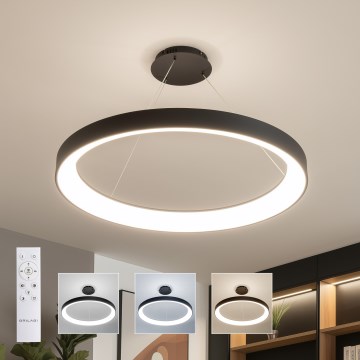 Brilagi - LED-dimmbare Hängeleuchte mit Seilabhängung FALCON II LED/108W/230V 3000-6500K Ø 80 cm schwarz + Fernbedienung