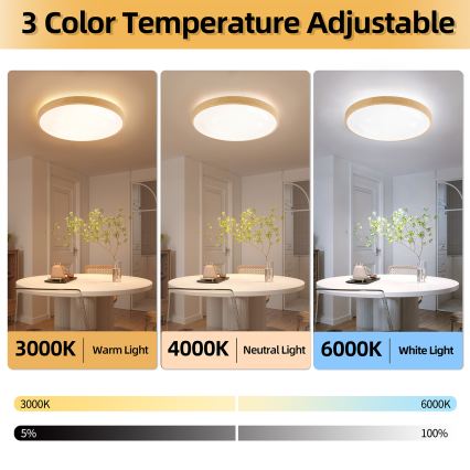 Brilagi - LED dimmbare Deckenleuchte GLASS POOL DOUBLE LED/80W/230V 3000-6000K 60 cm Holzdekor + Fernbedienung
