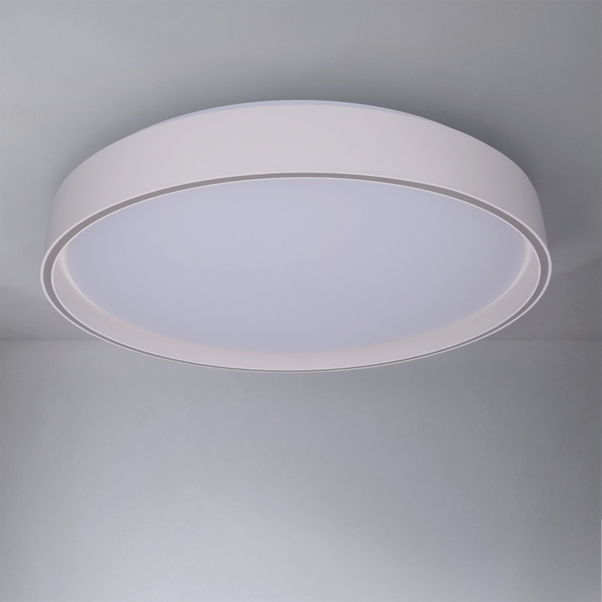 Brilagi - LED dimmbare Deckenleuchte NANCI LED/60W/230V 3000-6500K Ø 49 cm silber + Fernbedienung