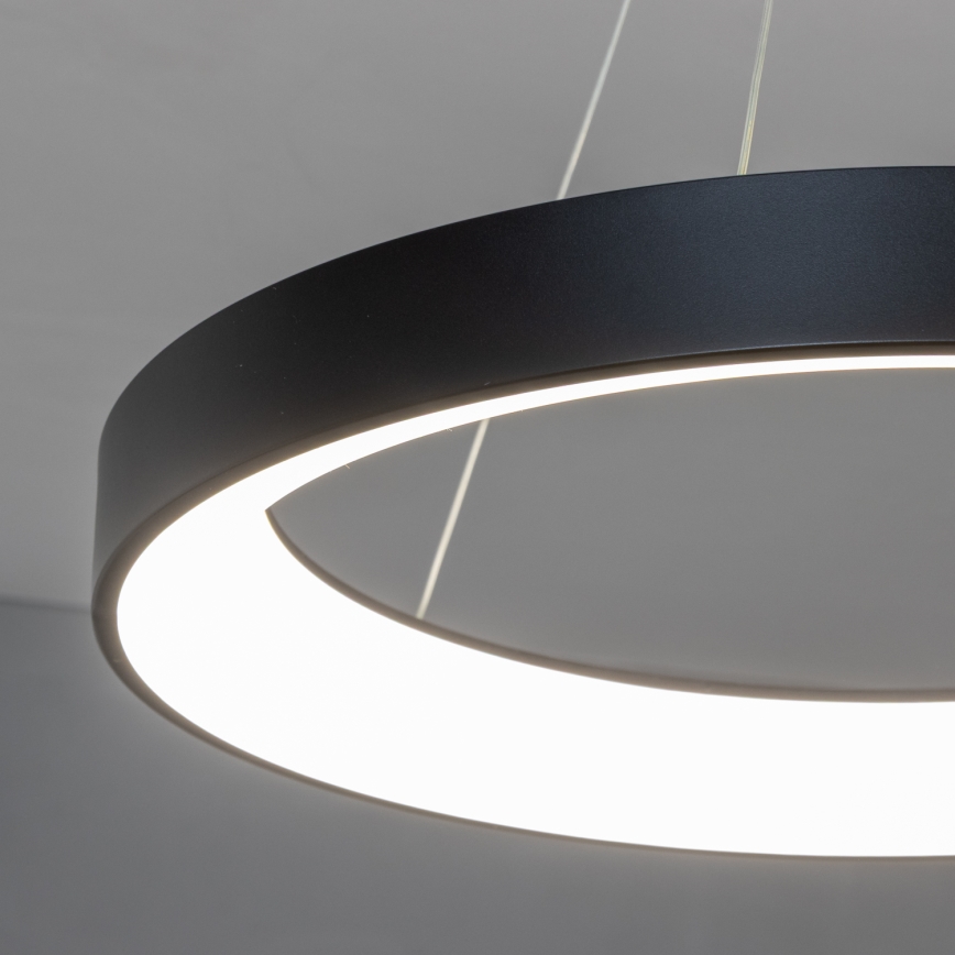 Brilagi - LED-dimmbare Seil-Pendelleuchte FALCON II LED/99 W/230 V 3000–6500 K Ø 60 cm schwarz + Fernbedienung