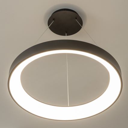 Brilagi - LED-dimmbare Seil-Pendelleuchte FALCON II LED/99 W/230 V 3000–6500 K Ø 60 cm schwarz + Fernbedienung
