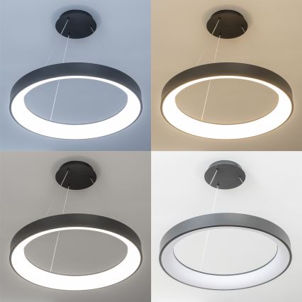 Brilagi - LED-dimmbare Seil-Pendelleuchte FALCON II LED/99 W/230 V 3000–6500 K Ø 60 cm schwarz + Fernbedienung