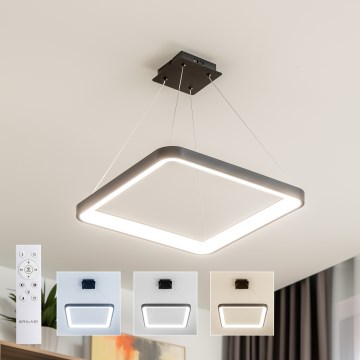 Brilagi - LED-dimmbare Pendelleuchte FALCON SLIM LED/50W/230V 3000-6500K 50x50 cm schwarz + Fernbedienung