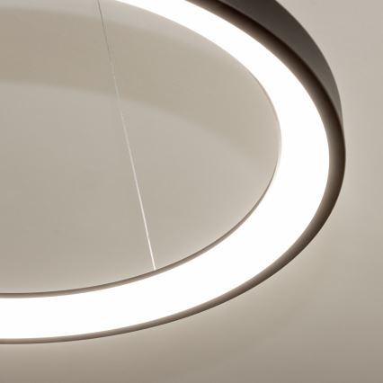 Brilagi - LED-dimmbare Pendelleuchte FALCON SLIM LED/42W/230V 3000–6500 K Ø 50 cm schwarz + Fernbedienung