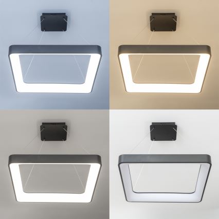 Brilagi - LED dimmbare Pendelleuchte mit Seilaufhängung FALCON II LED/125W/230V 3000-6500K 60x60 cm schwarz + Fernbedienung