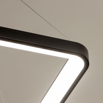 Brilagi - LED-dimmbare Pendelleuchte FALCON SLIM LED/50W/230V 3000-6500K 50x50 cm schwarz + Fernbedienung