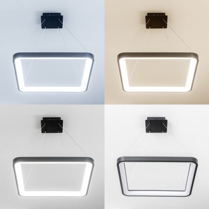 Brilagi - LED-dimmbare Pendelleuchte FALCON SLIM LED/50W/230V 3000-6500K 50x50 cm schwarz + Fernbedienung