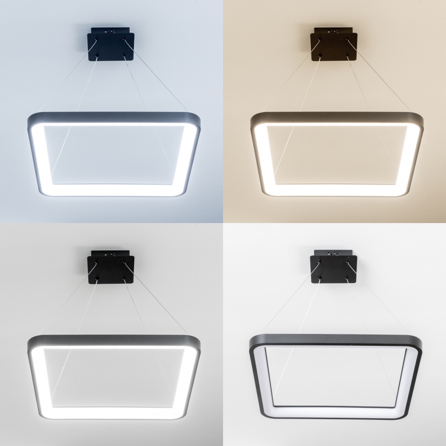 Brilagi - LED-dimmbare Pendelleuchte FALCON SLIM LED/50W/230V 3000-6500K 50x50 cm schwarz + Fernbedienung