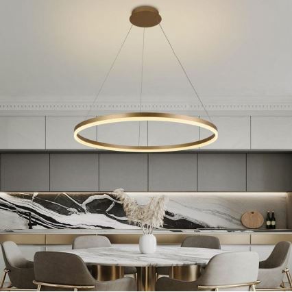 Brilagi - LED-dimmbare Pendelleuchte an Kabel CIRCLE LED/55W/230V 3000-6500K Ø 80 cm gold + Fernbedienung