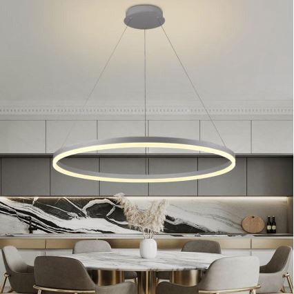 Brilagi - dimmbare LED-Seilpendelleuchte CIRCLE LED/55W/230V 3000–6500K Ø 80 cm silber + Fernbedienung