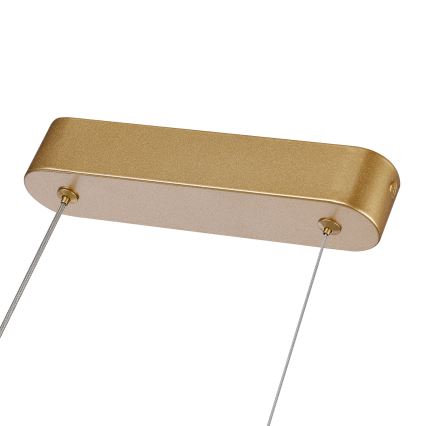 Brilagi - LED dimmbare Pendelleuchte an Kabel TWISTER LED/60W/230V 3000-6000K goldfarben + Fernbedienung