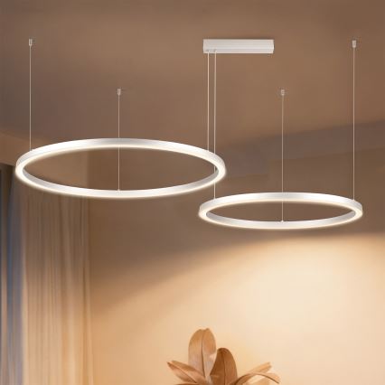 Brilagi - LED-dimmbare Seil-Pendelleuchte PORTOFINO LED/98W/230V 3000-6000K silber + Fernbedienung