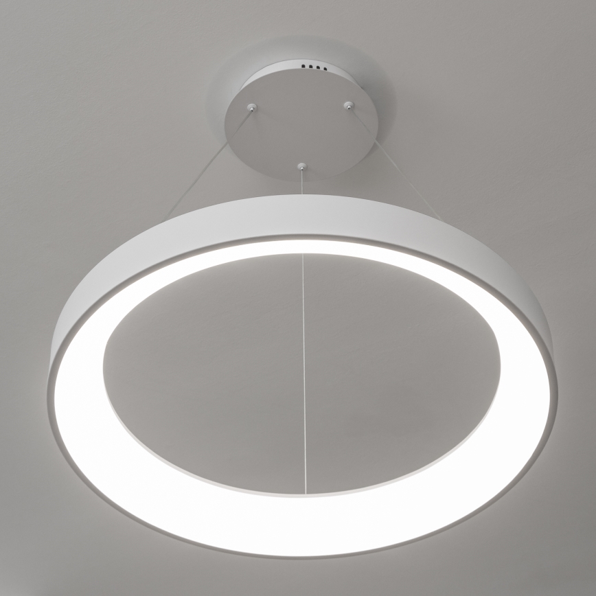 BRILAGI - LED-dimmbare Pendelleuchte an Seil FALCON II LED/99W/230V 3000-6500K pr. 60 cm weiß + Fernbedienung