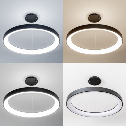 Brilagi - LED-dimmbare Hängeleuchte mit Seilabhängung FALCON II LED/108W/230V 3000-6500K Ø 80 cm schwarz + Fernbedienung