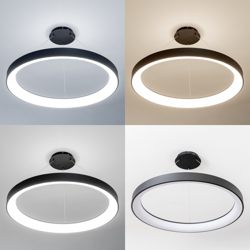 Brilagi - LED-dimmbare Hängeleuchte mit Seilabhängung FALCON II LED/108W/230V 3000-6500K Ø 80 cm schwarz + Fernbedienung