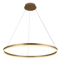 Brilagi - LED-dimmbarer Hängeleuchter mit Seilaufhängung CIRCLE LED/55W/230V 3000-6500K Ø 80 cm goldfarben + Fernbedienung