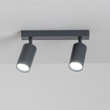 Brilagi - LED dimmbarer Spot SELE 2xGU10/6,5W/230V 2700-6500K Anthrazit