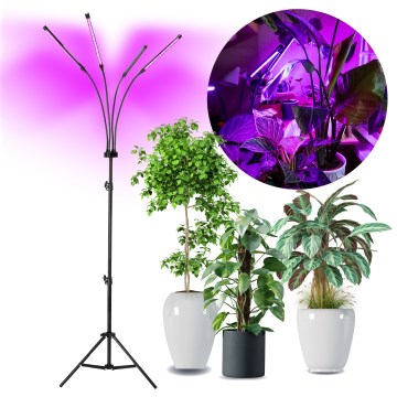 Brilagi - LED Dimmerabile flessibile lampada con piedistallo per la coltivazione di piante VITABLOOM 4xLED/7,5W/230V nero