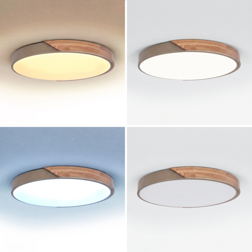 BRILAGI - Plafoniera a LED dimmerabile PILANA LED/60W/230V 3000-6500K rovere/beige Ø 60 cm + telecomando