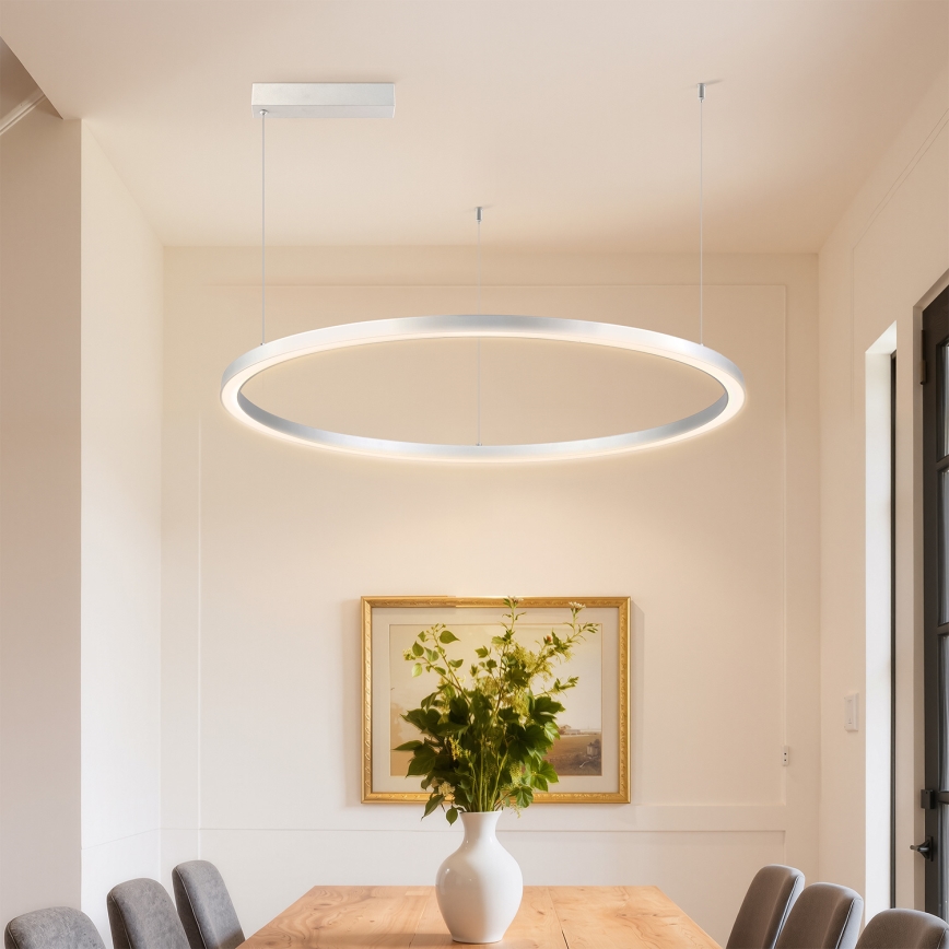 BRILAGI - Lampadario LED dimmerabile su cavo PORTOFINO 60W/230V 3000-6000K Ø 80 cm argento + telecomando