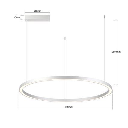 BRILAGI - Lampadario LED dimmerabile su cavo PORTOFINO 60W/230V 3000-6000K Ø 80 cm argento + telecomando