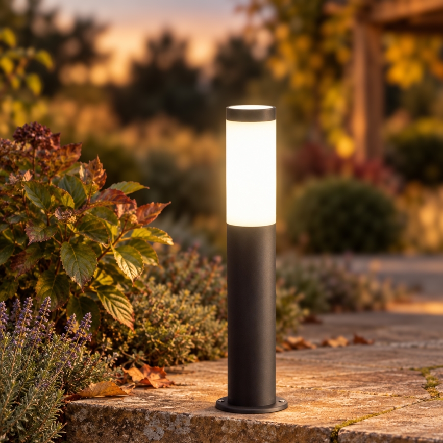 BRILAGI - Lampe extérieure LED dimmable ELIA 1xE27/6W/230V 2700-6500K IP44 Wi-Fi 50 cm anthracite