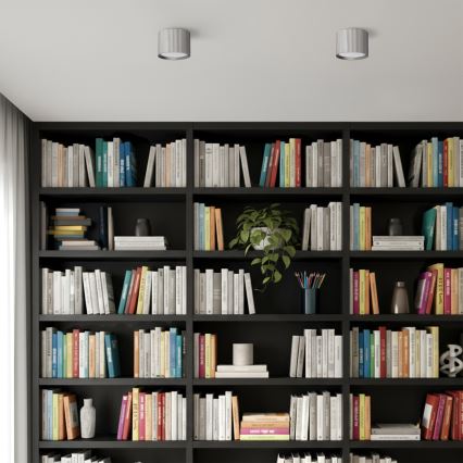 Brilagi - LED Faretto orientabile STRIPY 1xGX53/15W/230V argento