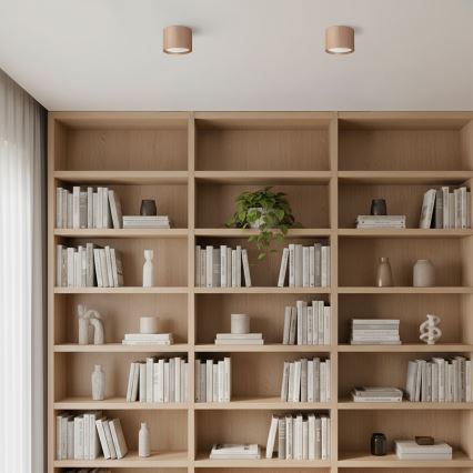 BRILAGI - LED Faretto STRIPY 1xGX53/15W/230V 60x82 mm beige