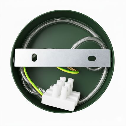 Brilagi - LED Hängeleuchte FLAMENGO 1xE27/60W/230V grün