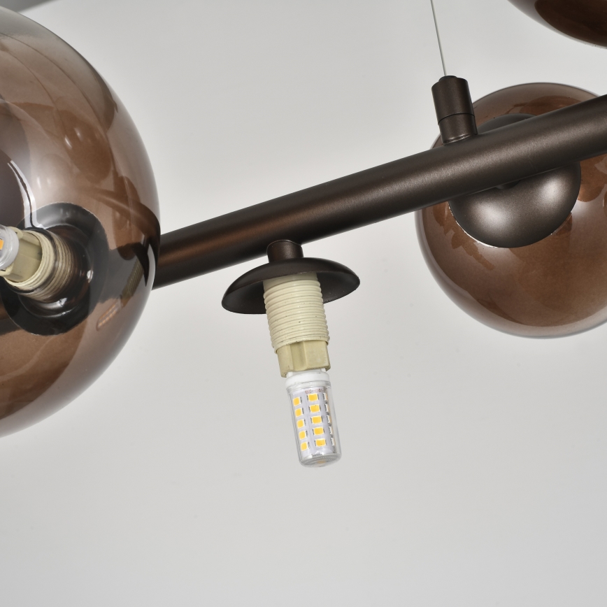 Brilagi - LED-Hängeleuchte MILLA an Kabel 10xG9/3W/230V braun/rauchbraun