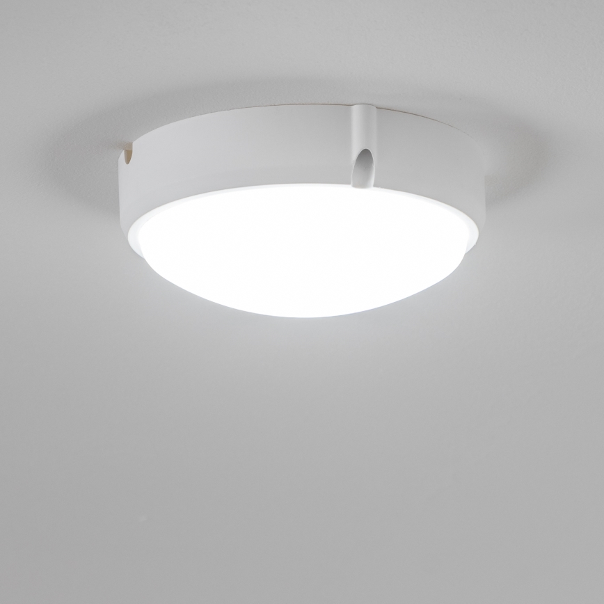 Brilagi - LED Industrie-Deckenleuchte SIMA LED/12W/230V IP65 weiß