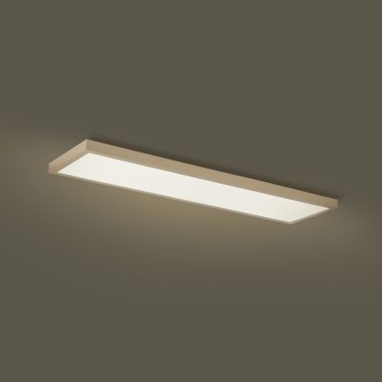 Brilagi - FRAME SMART Lampada da soffitto LED dimmerabile per bagno LED/50W/230V 120x30 cm 3000-6000K IP44 Beige + Telecomando