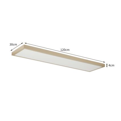 Brilagi - FRAME SMART Lampada da soffitto LED dimmerabile per bagno LED/50W/230V 120x30 cm 3000-6000K IP44 Beige + Telecomando