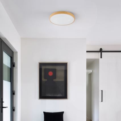 Brilagi - Plafoniera dimmerabile a LED GLASS POOL DOUBLE LED/48W/230V 3000-6000K 40 cm finitura effetto legno + telecomando