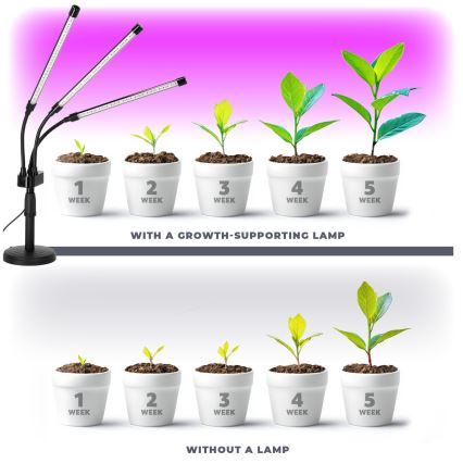 Brilagi - LED Dimmerabile flessibile lampada da tavolo per la coltivazione di piante VITABLOOM 3xLED/10W/230V nero