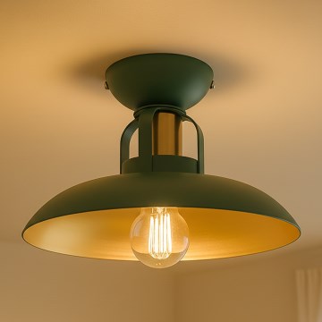 Brilagi - LED Lampadario a plafone FLAMENGO 1xE27/60W/230V verde