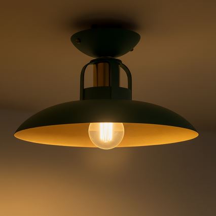 Brilagi - LED Lampadario a plafone FLAMENGO 1xE27/60W/230V verde