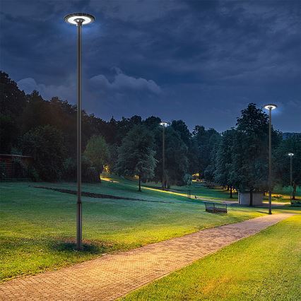 Brilagi - Lampada stradale per esterni con palo da 5 m URBANSPARK LED/120W/230V nera IP65