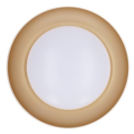 Brilagi - Plafonnier LED dimmable ALVA LED/48W/230V 3000-6500K Ø 51 cm noir + télécommande