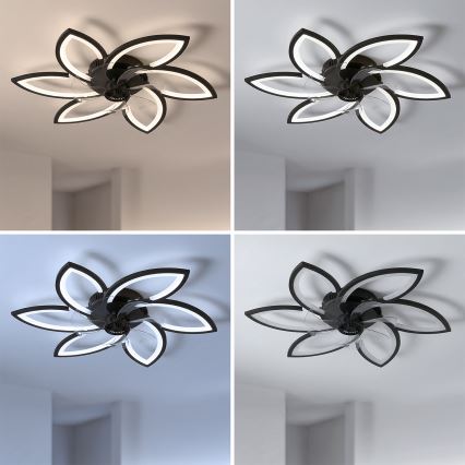 Brilagi - Plafonnier LED dimmable avec ventilateur LED/50W/230V 3000-6500K noir + télécommande
