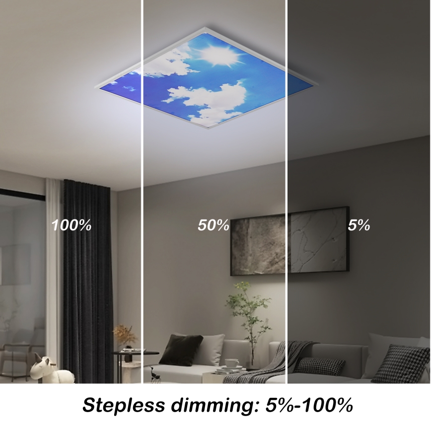 Brilagi - Plafonnier LED dimmable SLIMFRAME SKY LED/58W/230V 60x60 cm 3000-6000K argent/bleu + télécommande