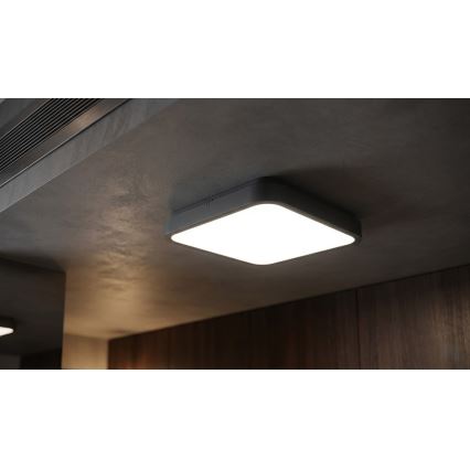 BRILAGI - Plafoniera da bagno LED con sensore ZENNA LED/24W/230V 34,5x34,5 cm IP44 antracite + telecomando